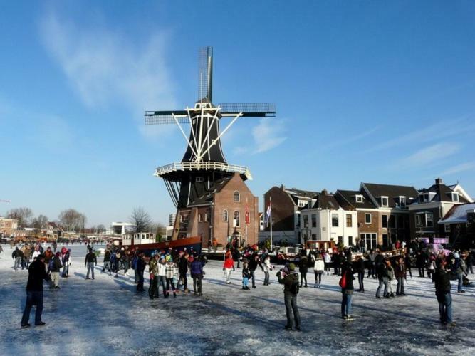 Feels Like Home Haarlem Ngoại thất bức ảnh